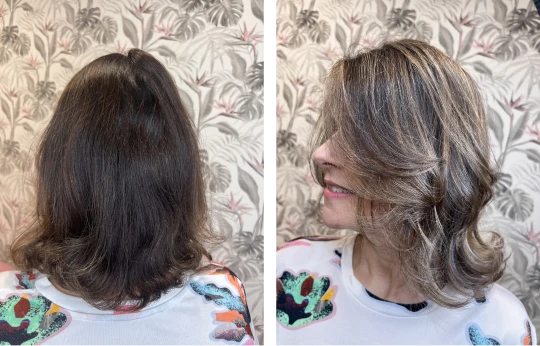 Mechas (4)